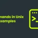 Commands in Unix with Examples