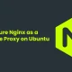 How to Configure Nginx as a Reverse Proxy on Ubuntu