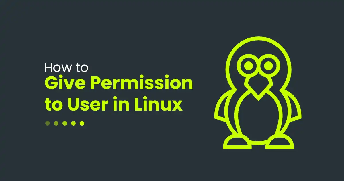 How to Give Permission to User in Linux