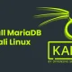 How to Install MariaDB on Kali Linux