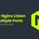 How to Make Nginx Listen on Multiple Ports