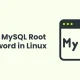 How to Reset MySQL Root Password in Linux