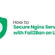 How to Secure Nginx Server with Fail2Ban on Ubuntu Server