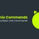 Top Unix Commands-Basic Unix Commands